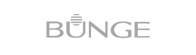 1 Cliente Bunge